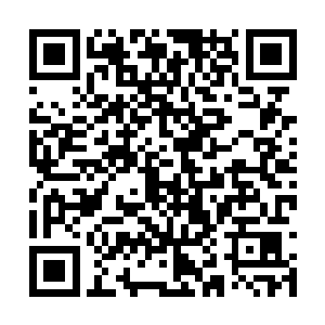 那在外间搜找凤羽珩的小丫头听到动静正往这边跑二维码生成