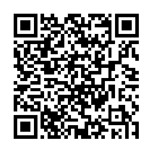 那在小红的帮助下近乎没有难度的远古红龙血脉进化二维码生成