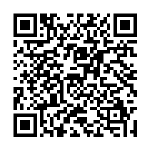 那在岁月结界内修行就和在外面修行没有任何不同二维码生成