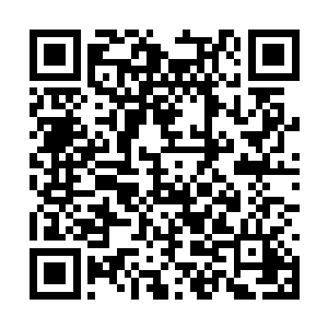 那在门口值守的下人已经微微颤抖着忙不迭的回禀二维码生成