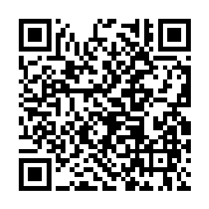 那块金属牌也是你在雄狮要塞中消费点的记录凭证二维码生成