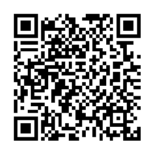 那坚硬地水泥地板就被他给割出来一个圆型的大饼下来二维码生成