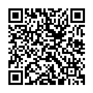 那坚硬无比的铁木树的树桩居然直接打出了一个较为明显的拳印二维码生成