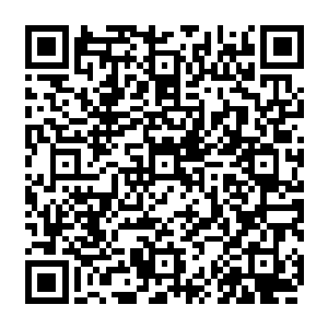 那埋葬了数百万人的塞尔内斯平原的战争痕迹不是短短的一两年的时间可以消除的二维码生成