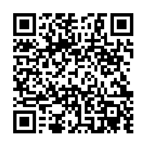 那城主府的护卫连忙的将自己得到的消息再次的说了一遍二维码生成
