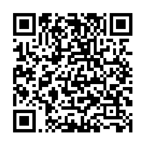 那堆积如山的法宝也开始以肉眼可见的速度溶解起来二维码生成