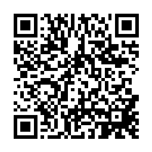 那塔灵说的混乱之地一处非常适合我修炼的地方要开启二维码生成