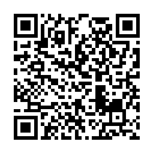 那壮观的场面简直让时装秀变成了一场愚蠢搞怪秀二维码生成