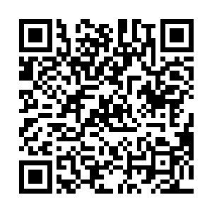 那夏侯家孤落落掌握着地下势力又不肯交出算怎么回事二维码生成