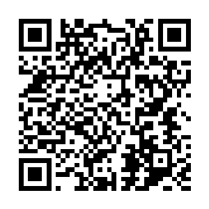 那大乘期妖兽却并没有和它们想象中的将人类修士给杀死二维码生成