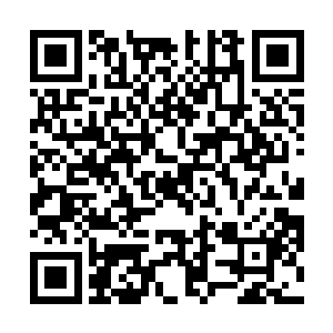 那大地喷薄的炙热的岩浆反而在融化着落阳界中的冰冻二维码生成