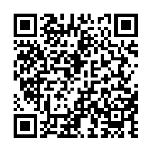 那大师可就尝不到秦师弟酿造的绝世佳酿卧龙醉了二维码生成