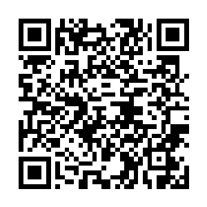 那大网一下就把正朝着刘惜玉冲去的白狐狼给罩了进去二维码生成
