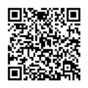 那天中午生活组的同志说买了乡下的土鲫鱼回来二维码生成