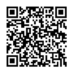 那天在京都看到的一个穿着华服的和硕公主出巡二维码生成