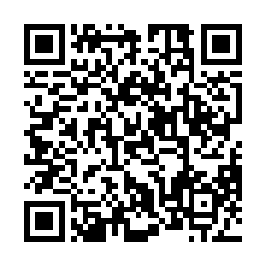 那天在紫晶酒店被羞辱的场景时常浮现在他的脑海当中二维码生成