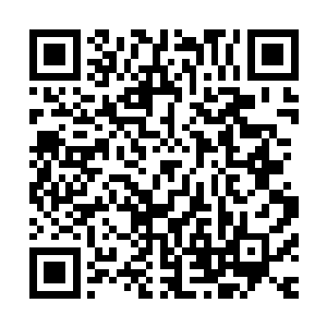 那天查看手镯里面不是还有一些或大或小的玉盒装着的丹药么二维码生成