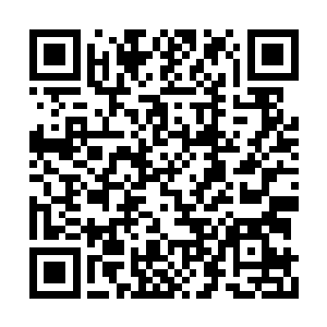 那天秦崇聿端了碗厨师做的白萝卜炖牛腩去找她二维码生成