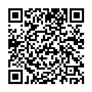 那头巨型岩蚁兽已经感觉到有东西在自己的口中作怪二维码生成