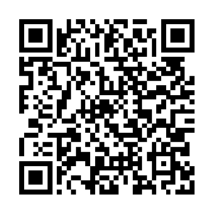 那头禄球儿辛苦调教架熬出来的青白鸾冲破乌云二维码生成