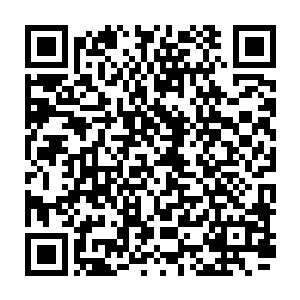 那头美洲狮趴在了不远处 打了个哈欠 似乎一点都不关心这一场战斗的结果二维码生成
