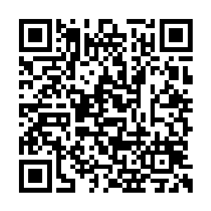 那头龙族刚才和狄龙说话的时候还是有说有笑的二维码生成