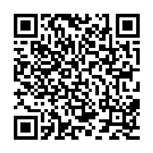 那女仙直接把那只红玫瑰一般的花株直接就放到了花圃禁制上二维码生成