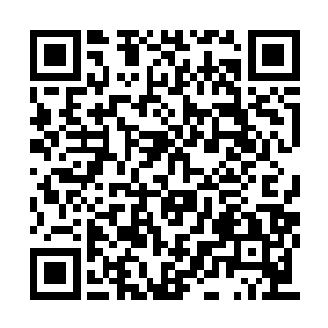 那她不一定能在丹香山胡掌门的逼迫下全身而退二维码生成