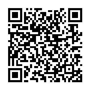 那她们现在五个人联手对付的话绝对是绰绰有余了二维码生成