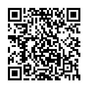 那她就要镇定一些保证这游戏可以顺利进行下去二维码生成