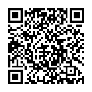 那她的脸很有可能就会被你这毛手毛脚的小子给毁容了二维码生成