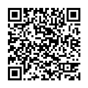 那如亿万凶兽呼啸而来的拂尘立刻被镇压动不了了二维码生成