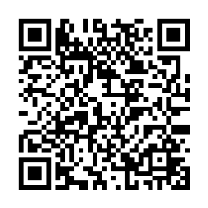 那如果他们这个实力的人获得了夏天的所有东西呢二维码生成