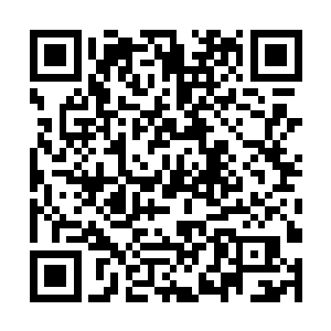 那如果让你在赵菲菲和赵嫣儿两人之间选择一个的话二维码生成