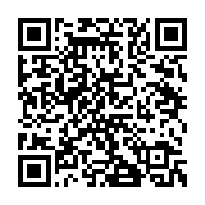 那姑姑一定已经开始着手在查玉寅兄弟俩的事了二维码生成