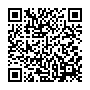 那姿态……简直就像是幼儿园的小朋友得到了一颗小星星……二维码生成