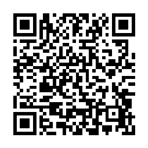 那威压犹如一座巨大山峰重重朝李傲尘后背压去二维码生成