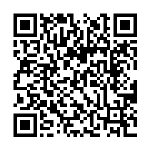 那娴熟的手法让人很难想象他会有这么庞大的身躯二维码生成