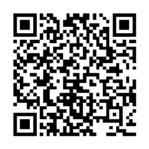 那婢女见状下意识的看了一眼包厢里并没有跟上的陌路离殇他们二维码生成