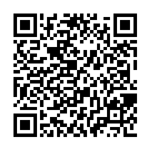 那子厚你能保证上虞之倭寇一定会来袭扰应天吗二维码生成