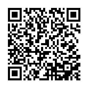 那季疏云对他们就不仅仅只是最单纯的利用……毕竟二维码生成