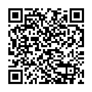 那孩子那可怜的模样就叫古菲菲和克萌萌都看不下去了二维码生成