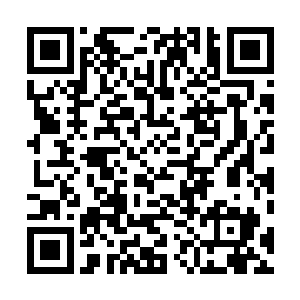 那它可能就会被那条鳄鱼杀死……更不可能得到它的内丹二维码生成