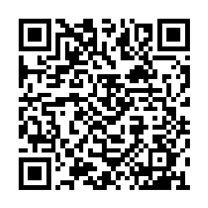 那它的价值还没有巨齿铁尾兽身上的材料值钱呢二维码生成