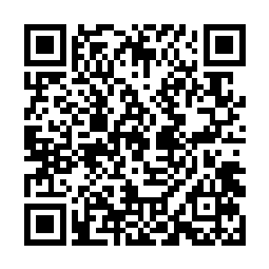 那家公司的掌控者竟会以如此决绝的姿态来给她难堪二维码生成