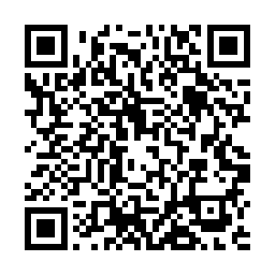 那家少来往的表少爷表小姐这般突然从千里之外来做客二维码生成