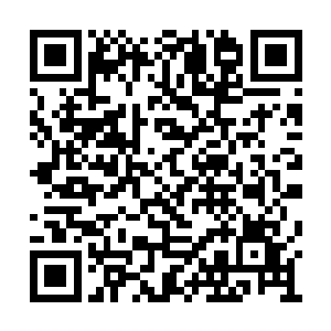 那宽大的开领很容易就展现出里面的白色小背心二维码生成