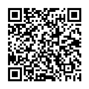 那宽大的脚掌就在石头地面上留下一个个深深的脚印二维码生成