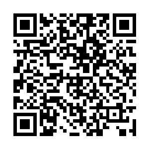 那密密麻麻的毒虫也已经从四面八方围住了凌云宫二维码生成