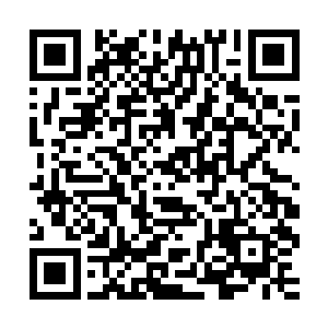 那封印什么时候会……难道说这就是三家血脉存放在这里的原因二维码生成